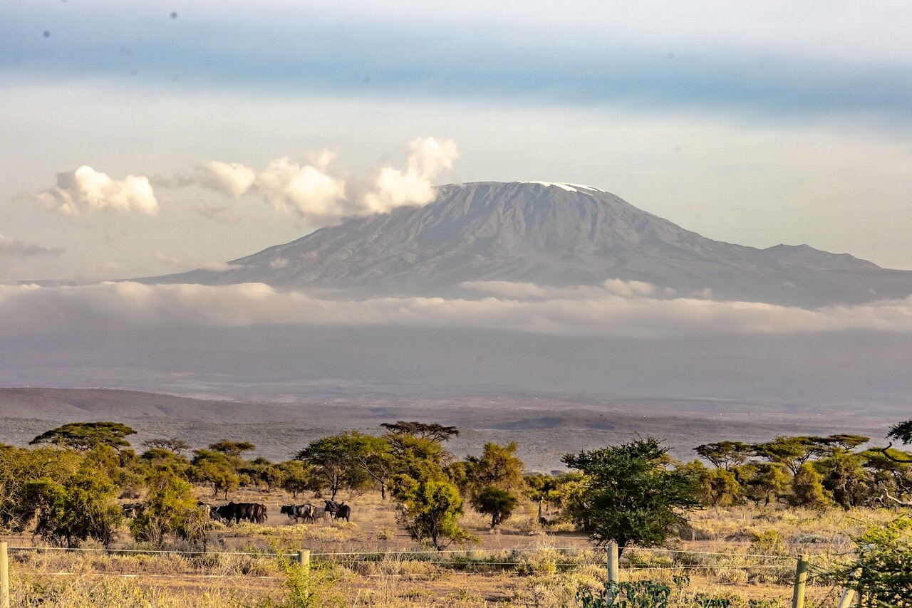 Sentrim Amboseli Lodge - Amboseli hotel view 5